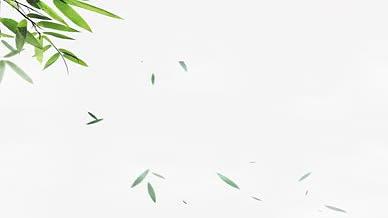 端午清爽竹子中国风粽子卡通欢快绿色素材视频的预览图
